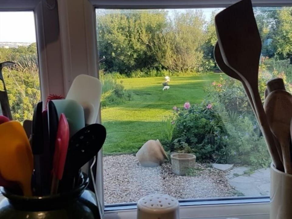 View to garden
