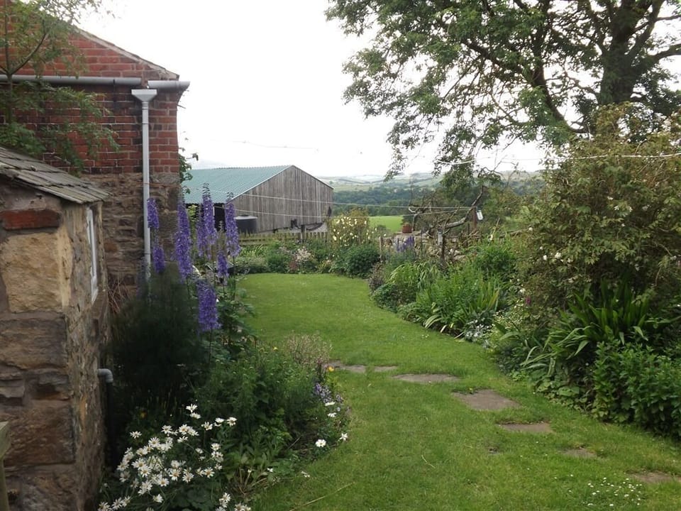 part of the garden