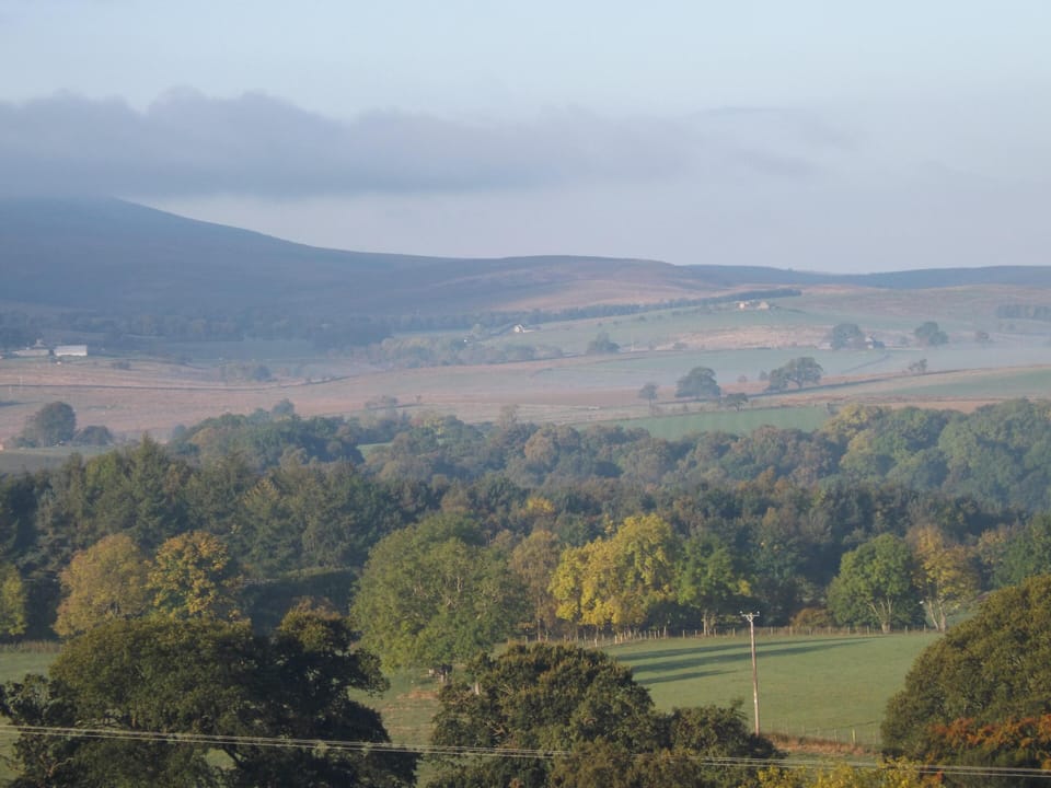 view from the garden
