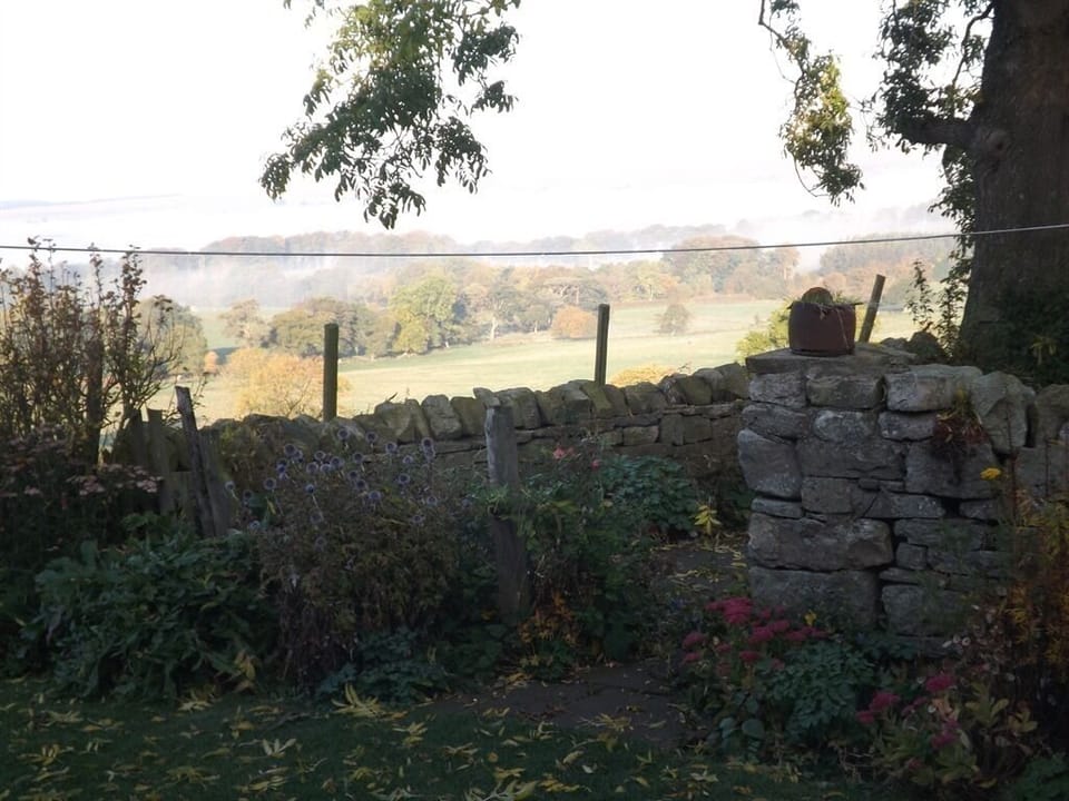 view from garden