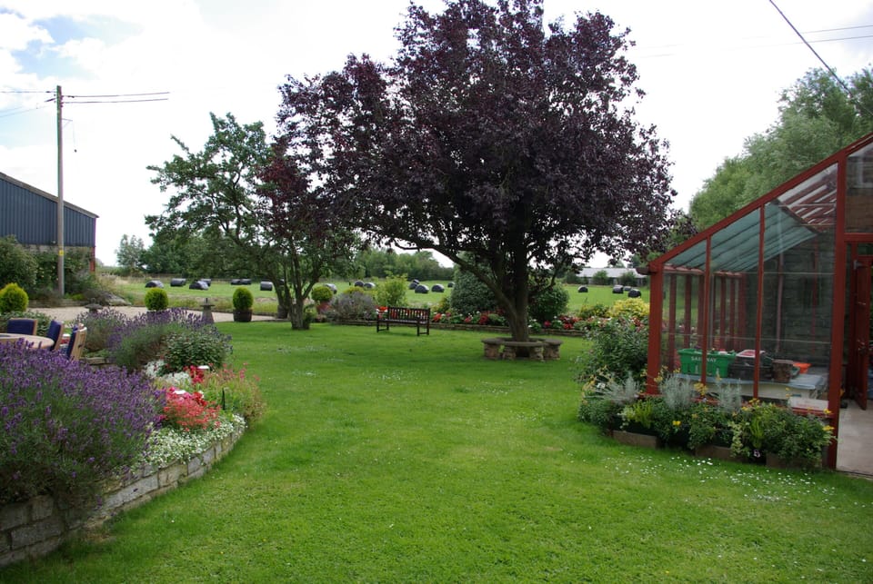 Shared garden.
