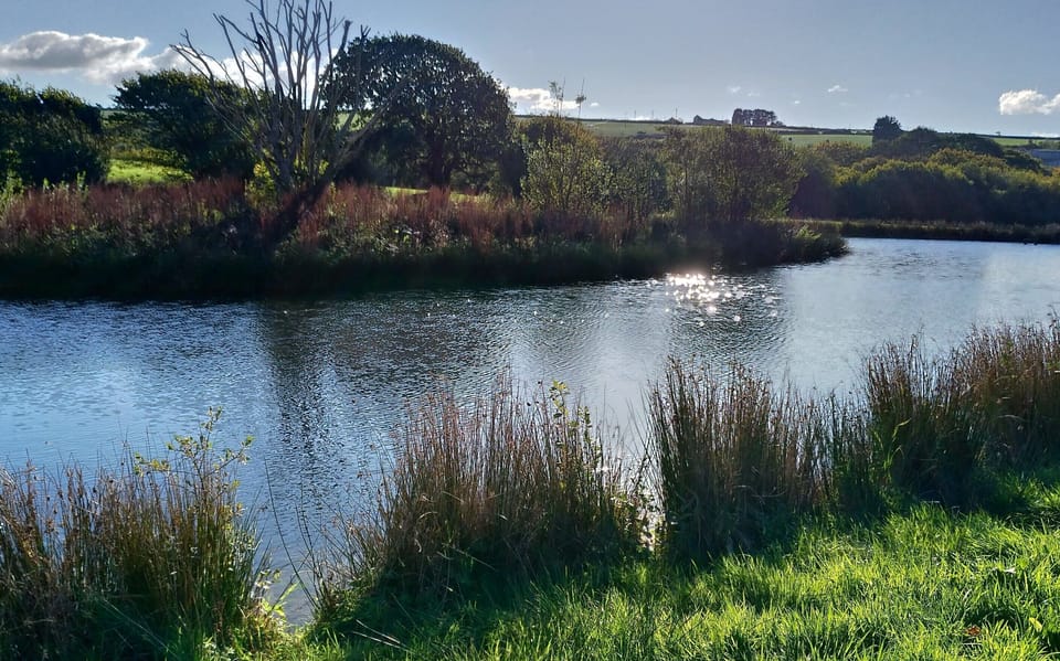 Our gorgeous lake, ideal for fly fishing