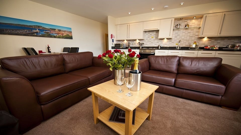 Living Room / Lounge