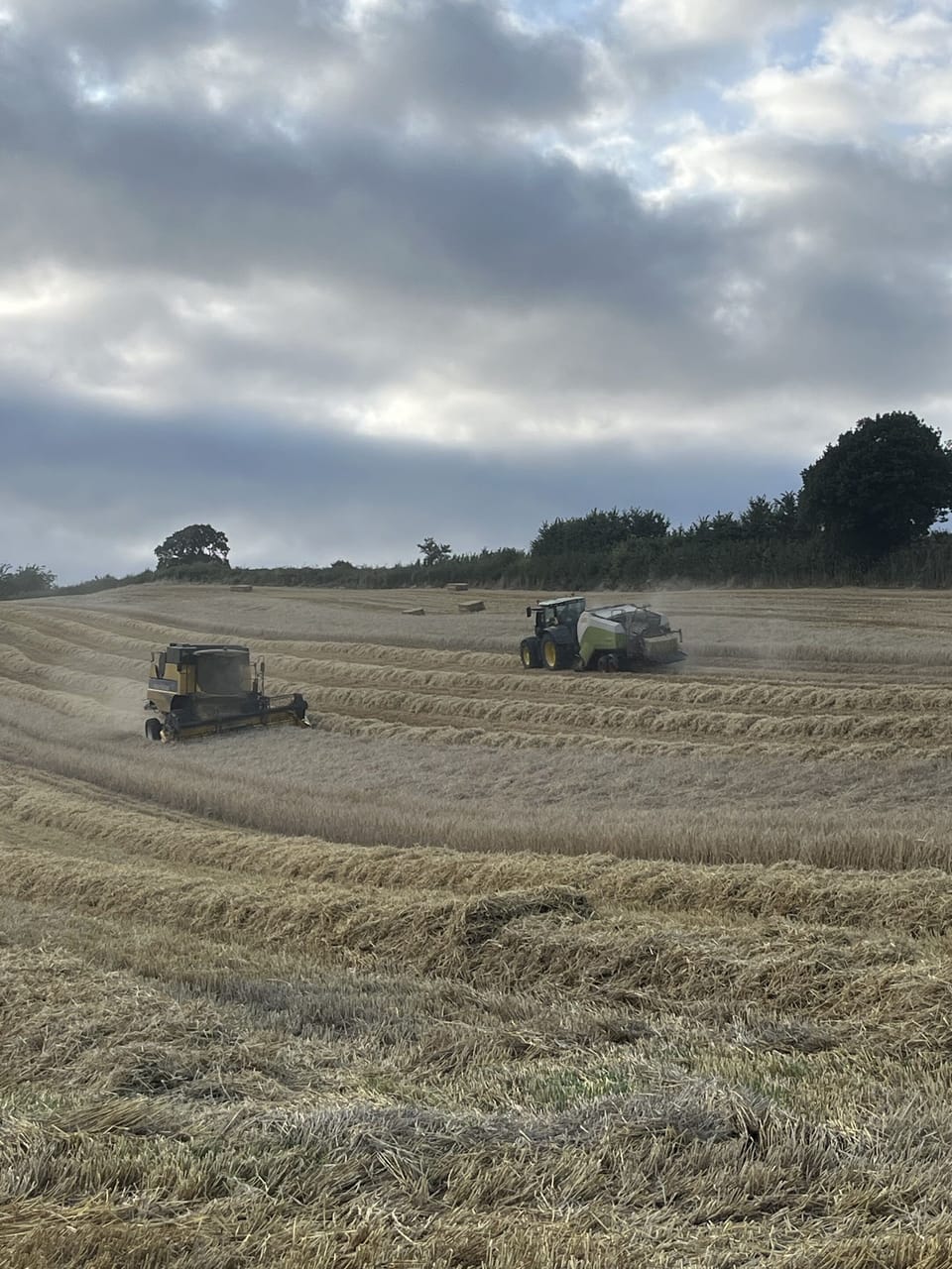 Harvest Time 