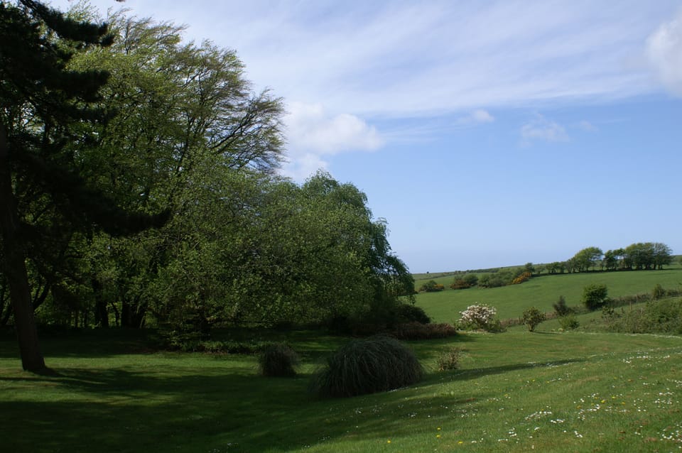 Back Garden