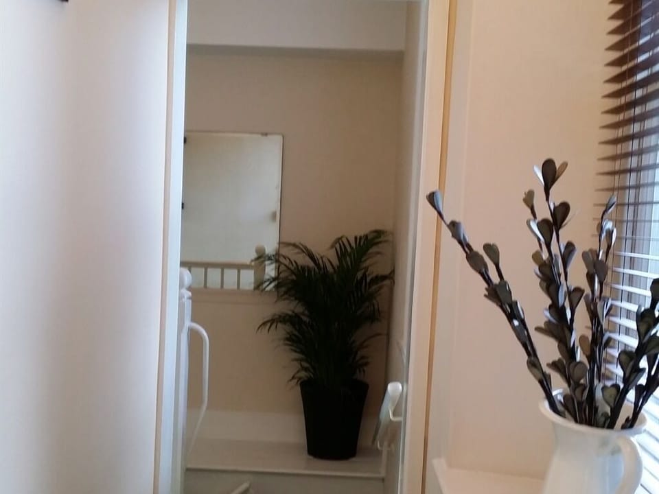 Apartment 1 - Hall