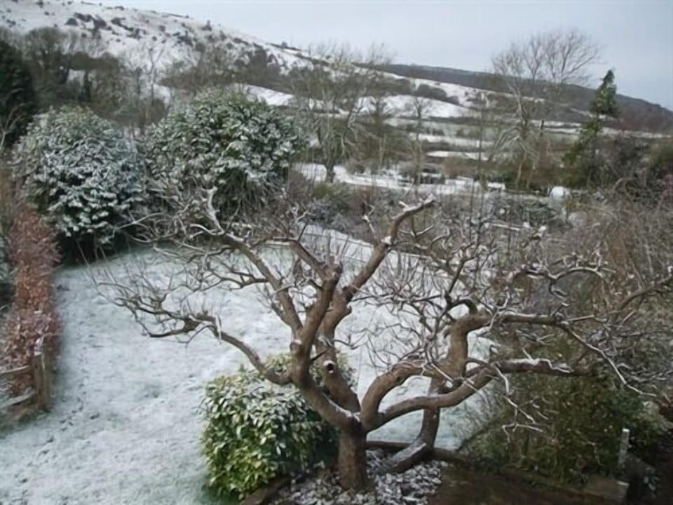 Its lovely here even in the winter