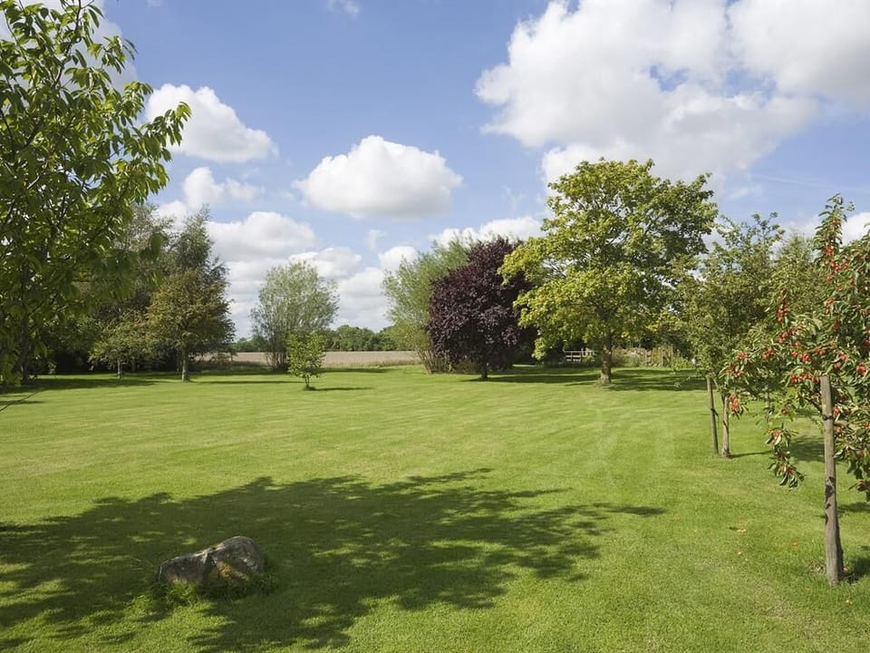 The Garden
