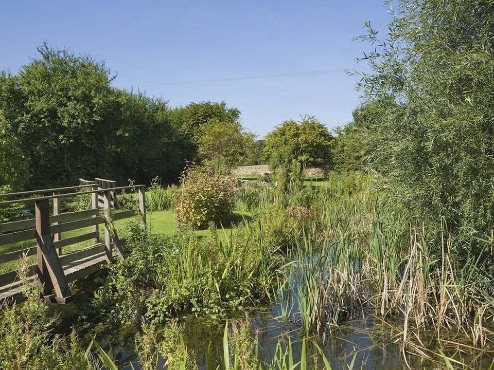 The Garden