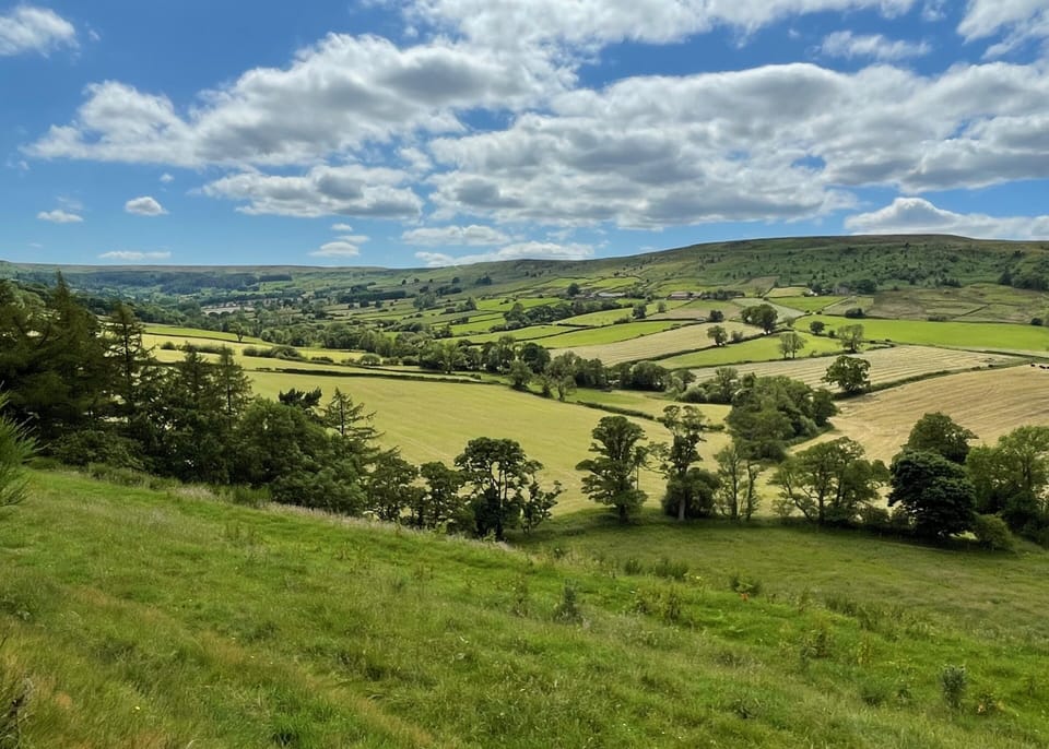 Looking across Danby dale