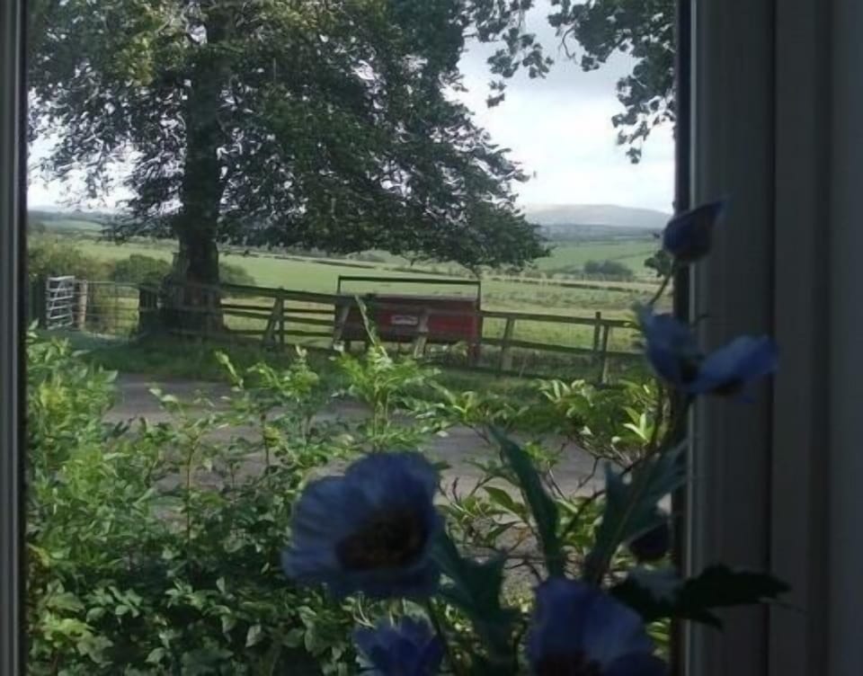 View From Stairs Window