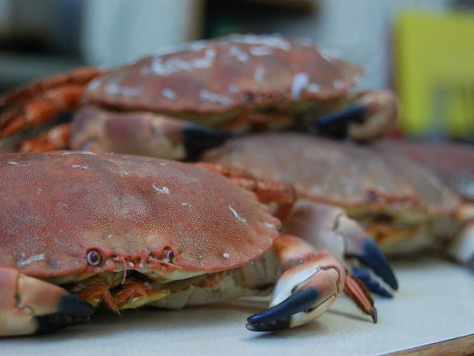 Fresh Cromer crab