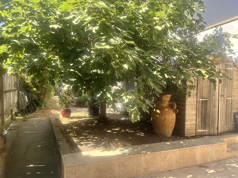 Shared Open Space