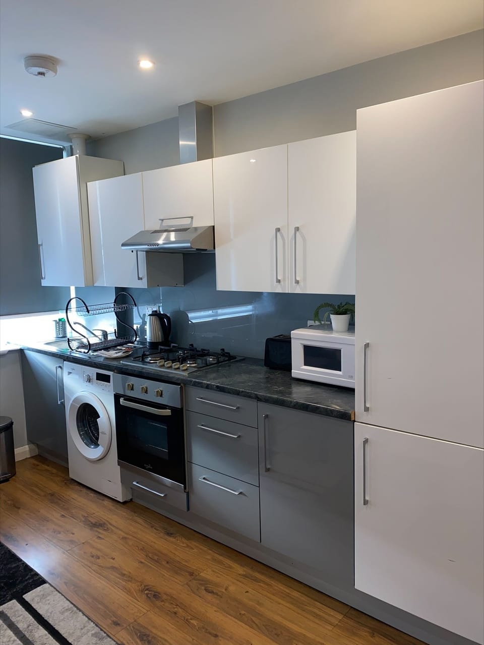 Modern fitted kitchen with integrated appliances- Apartment-Deluxe