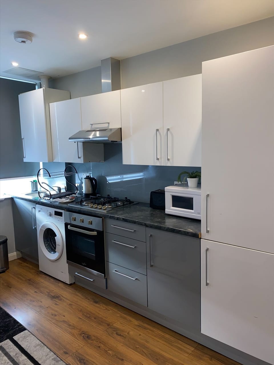 Modern fitted kitchen with integrated appliances- Apartment-Deluxe