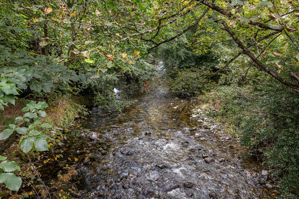 View down river from Priest Bridge