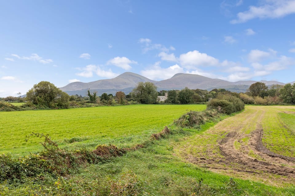 View from back garden