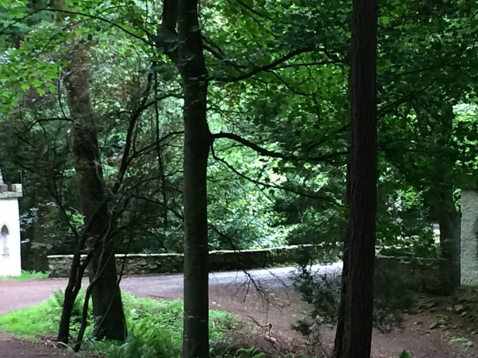 Activities & Experiences