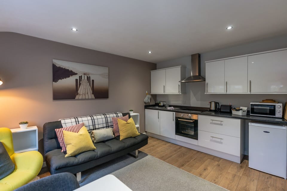 Kitchen/living area with sofa bed