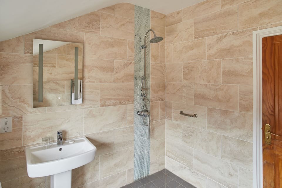 Wetroom Shower room with comfort heigth toilet