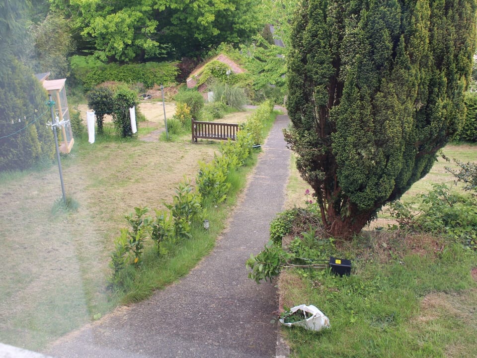 Garden view