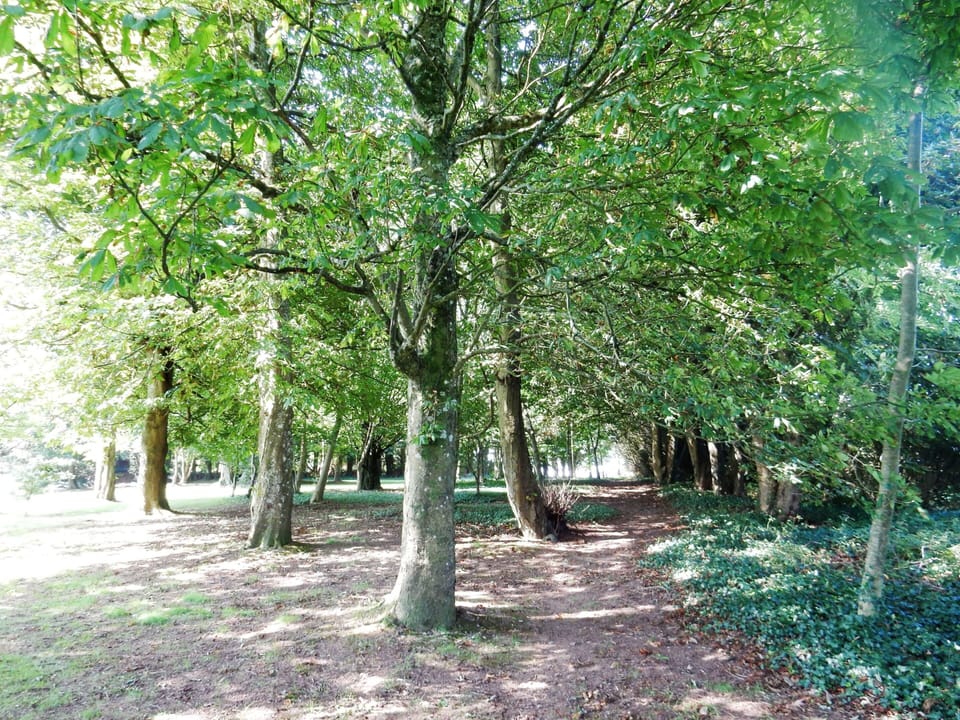 woodland view,Norton Park