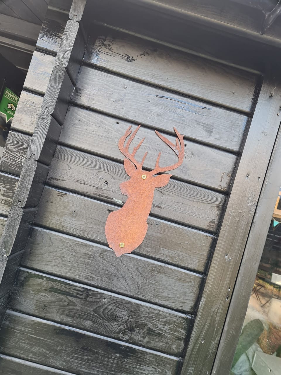The Cabin
