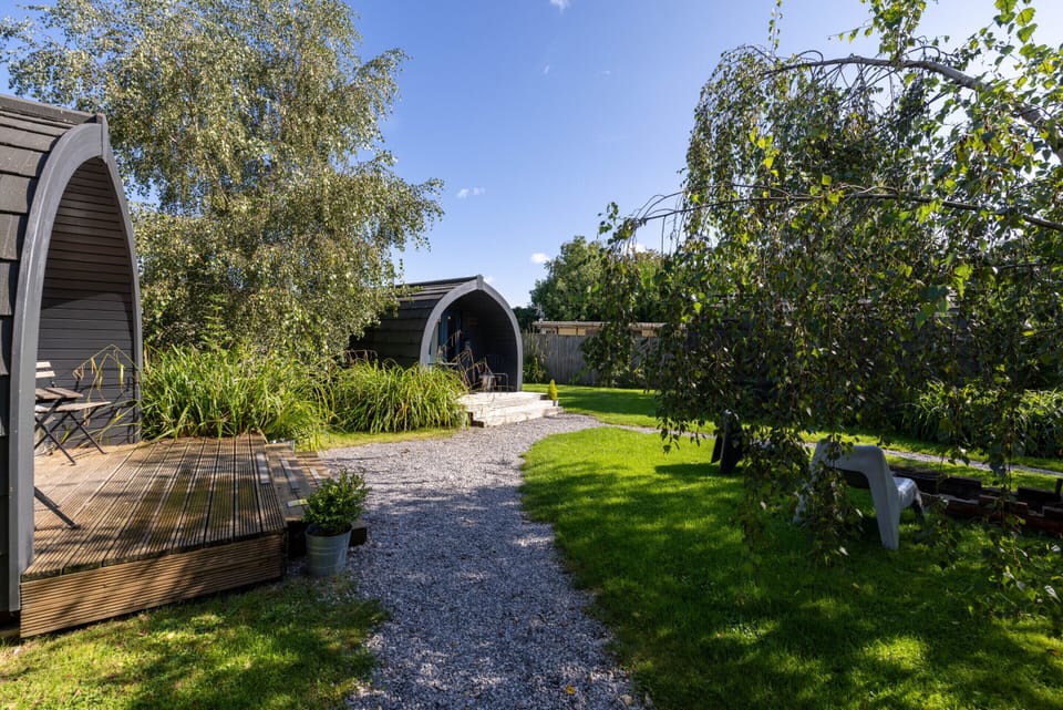 Posh Pod - Allergy Free