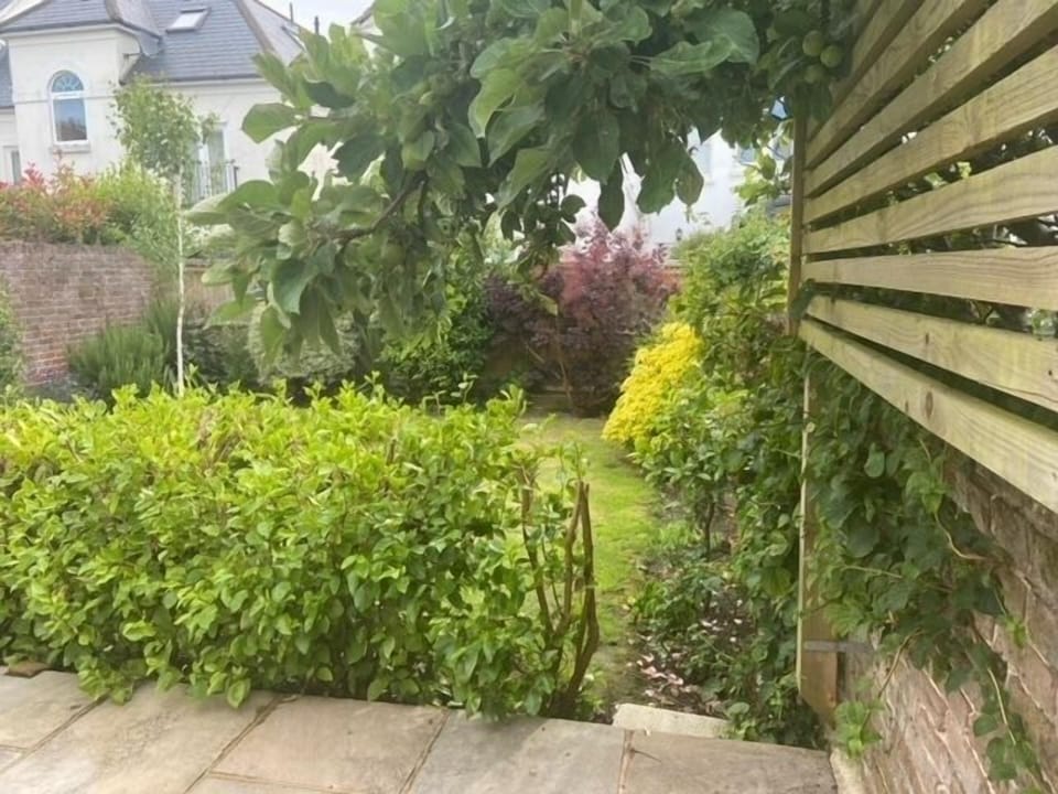 Back Garden