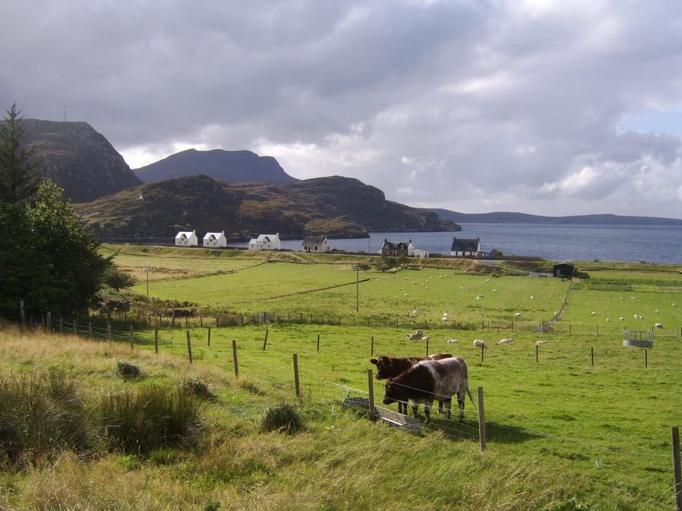 View from Top House Garden