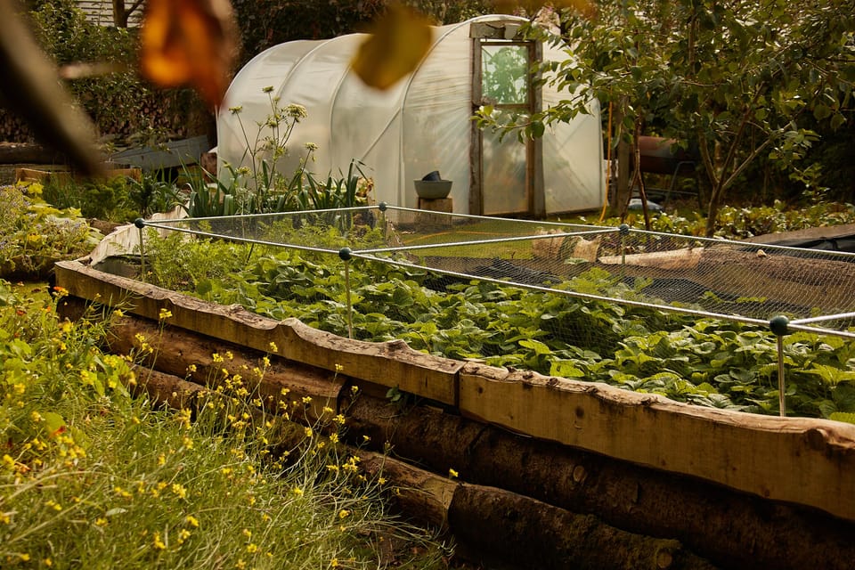 Kilmartin Castle organic kitchen garden