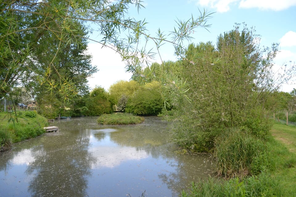 The small pond from Peg 16