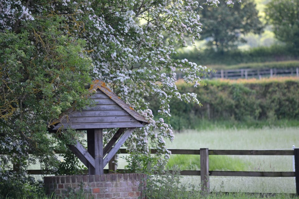 The Old Well