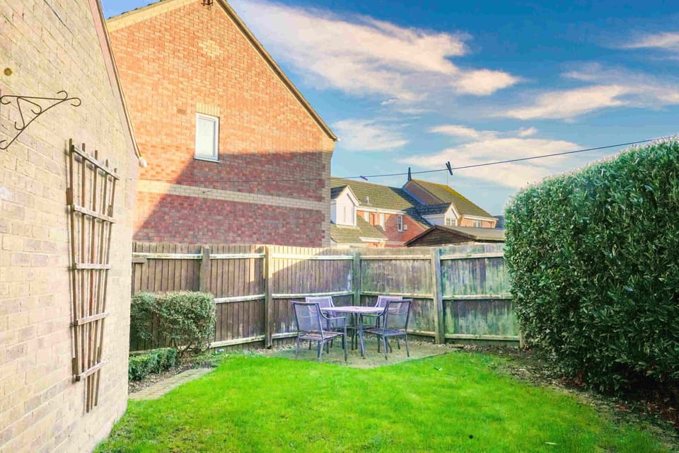 Back Garden