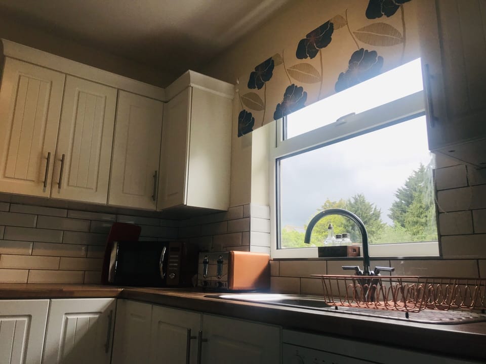 Kitchen Window
