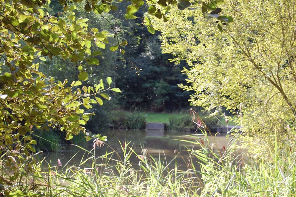 Private Fishing Lake