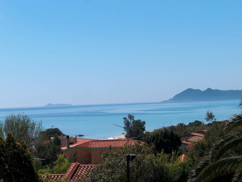 View from the window