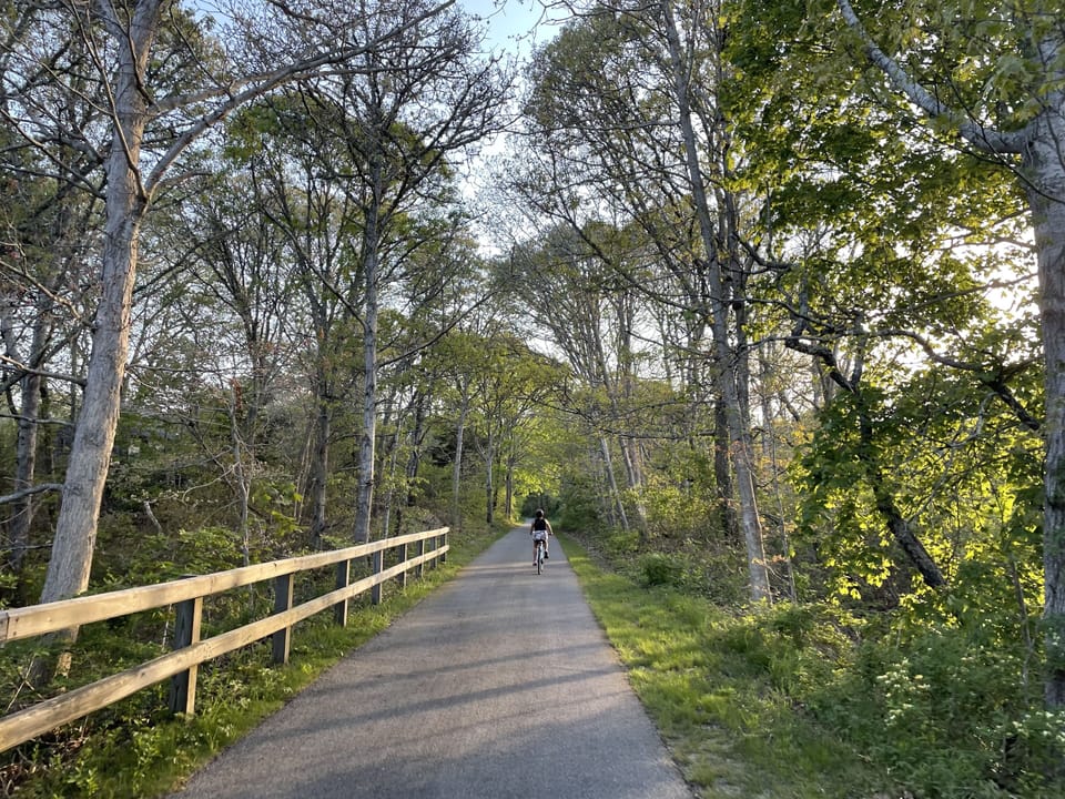 Cape Cod Bike & Rail Trail. Access path entrance only 5-7 minutes from condo.