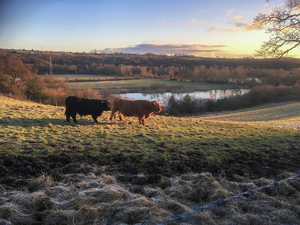 Surrounding area | Old Stables Cottage, Escomb, near Bishop Auckland