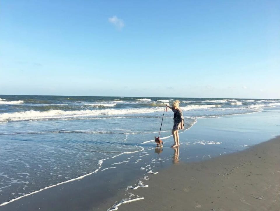 Atlantic, wide open, no land in sight, 12 miles of pristine Beach. Enjoy!