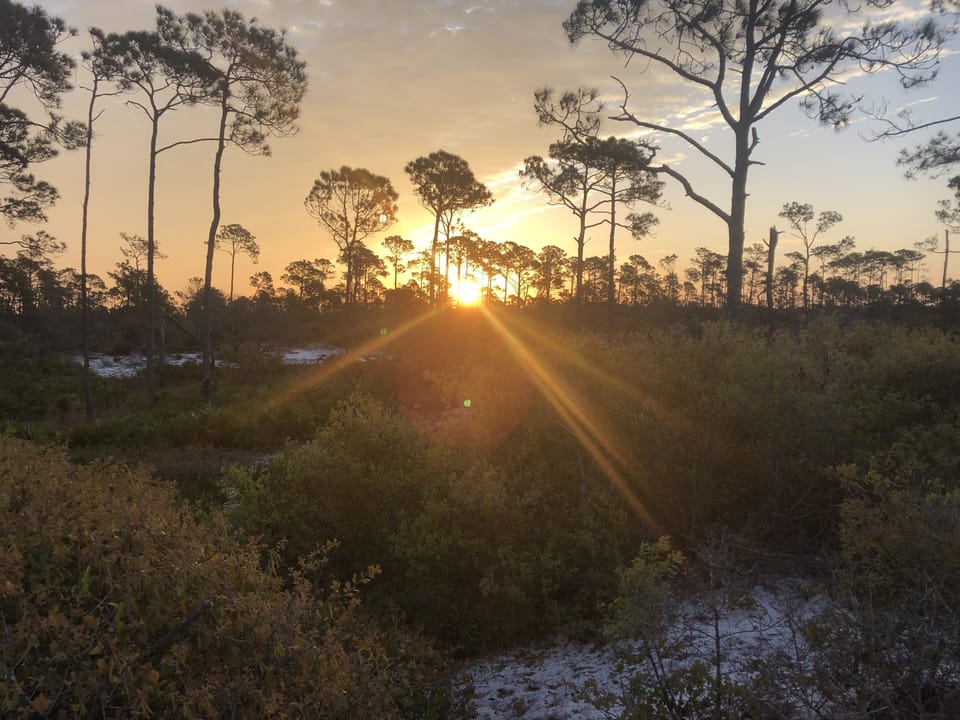 Sun rise St. Andrews State Park