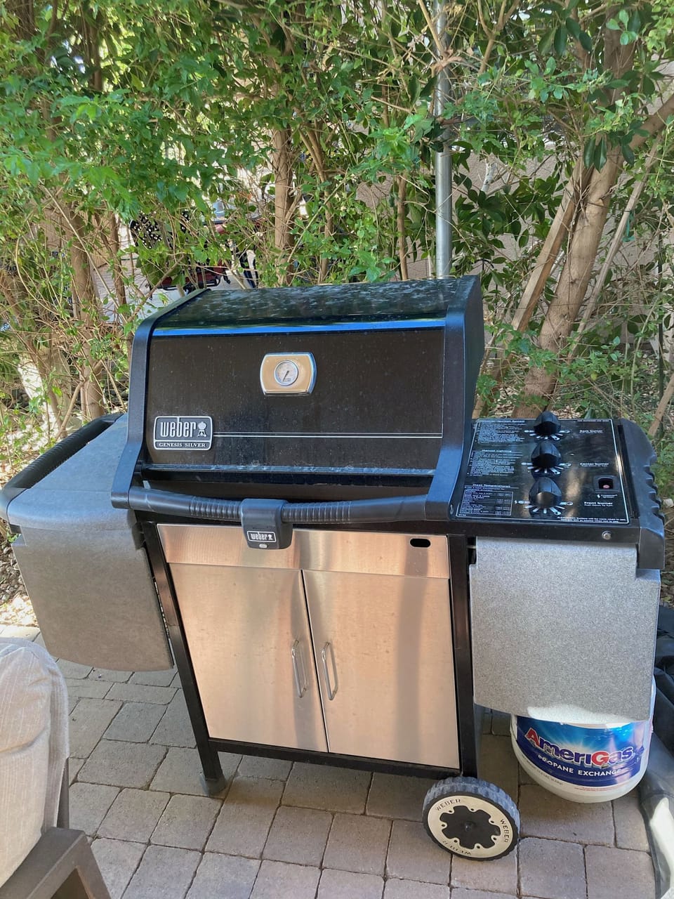 Back Patio Gas BBQ