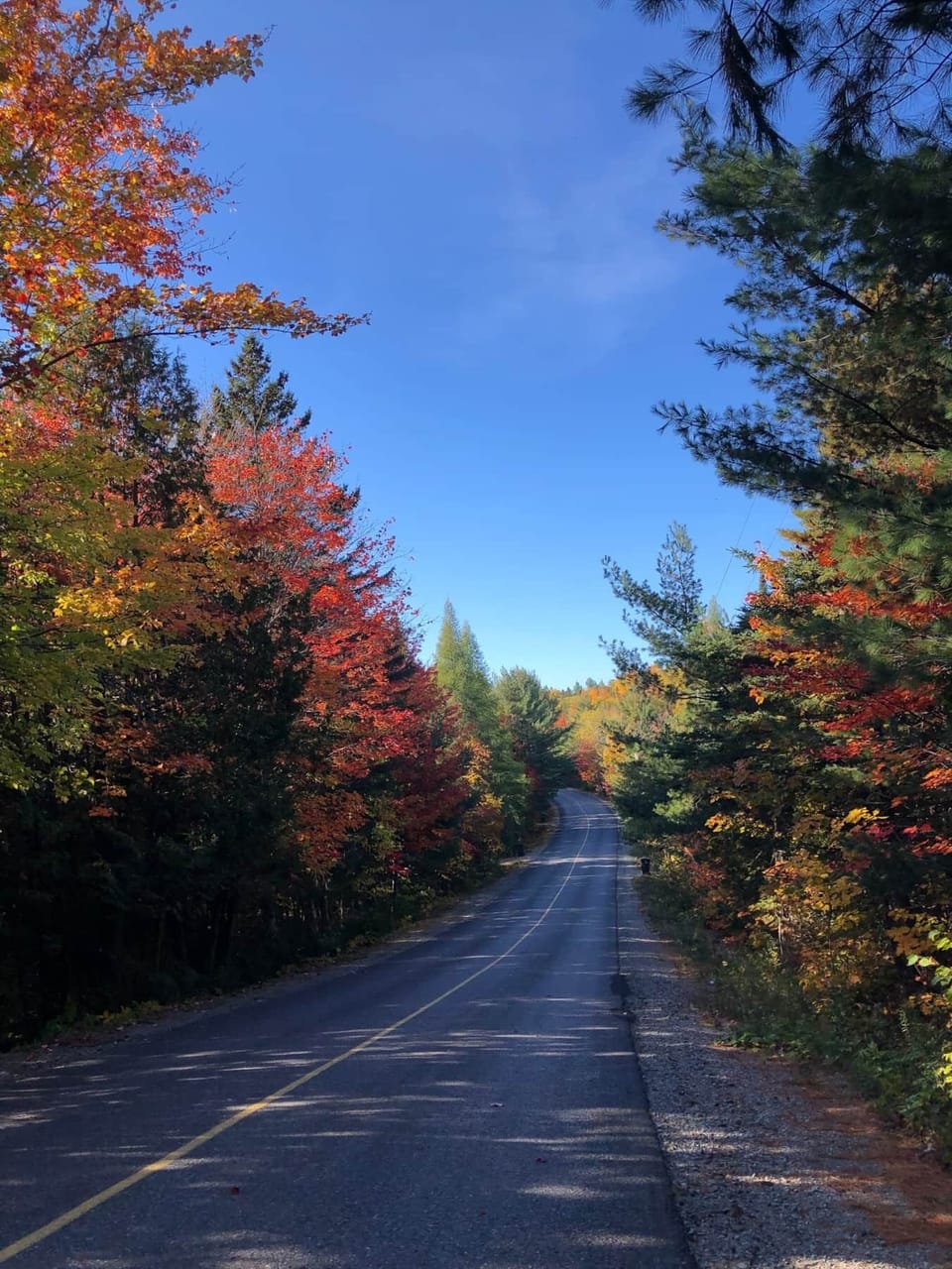 fall colors