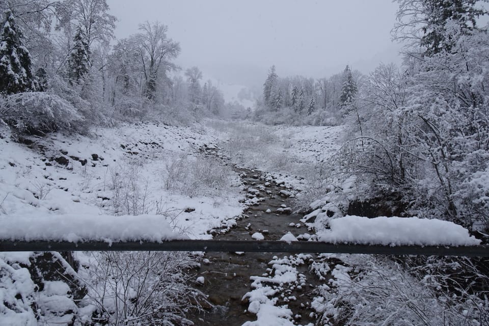Snow and ski sports
