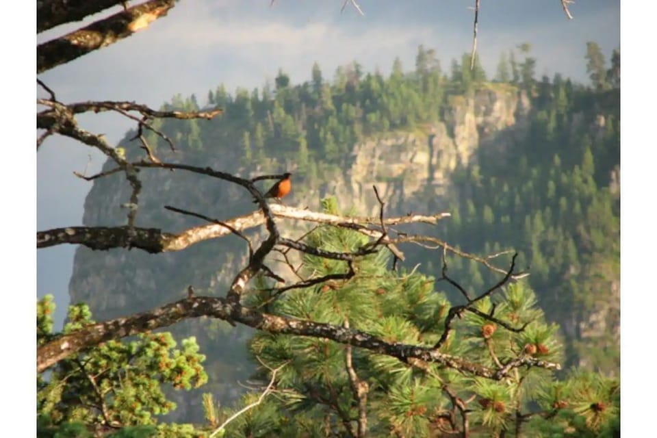 Chief Cliff Mountain - photo taken from property 