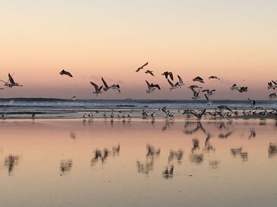 Beach