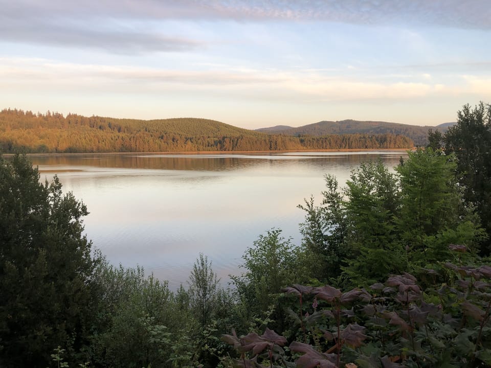 View from the front yard