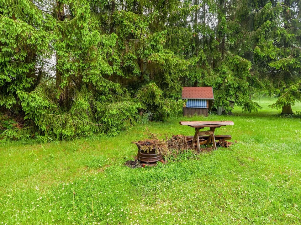 Garden [summer]