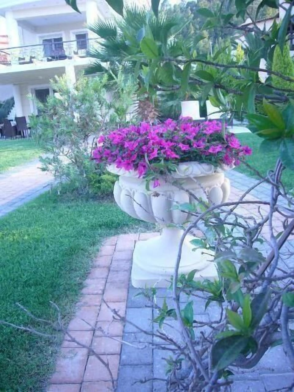 Property grounds