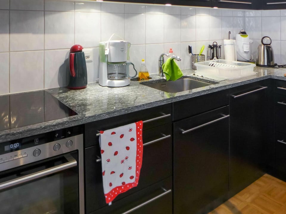 Countertop, Kitchen Sink, Cabinetry, Tap, Kitchen Appliance, Sink, Kitchen Stove, Plumbing Fixture, Kitchen, Home Appliance